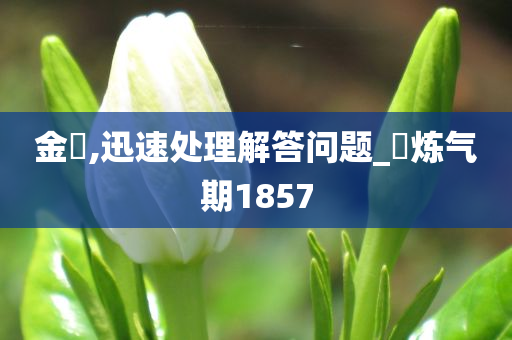 金鵄,迅速处理解答问题_‌炼气期1857