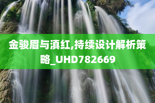 金骏眉与滇红,持续设计解析策略_UHD782669