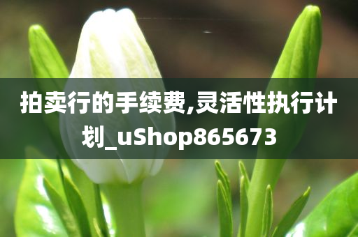 拍卖行的手续费,灵活性执行计划_uShop865673