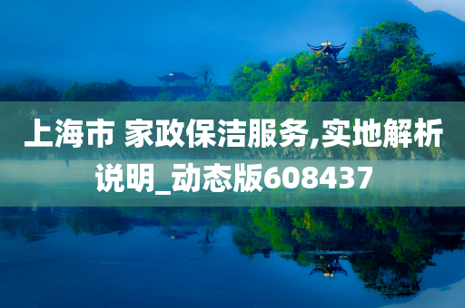 上海市 家政保洁服务,实地解析说明_动态版608437