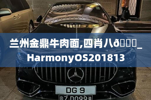 兰州金鼎牛肉面,四肖八🐎_HarmonyOS201813