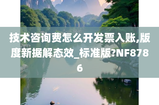 技术咨询费怎么开发票入账,版度新据解态效_标准版?NF8786