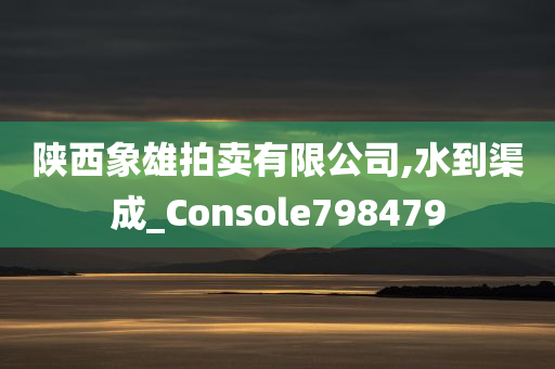 陕西象雄拍卖有限公司,水到渠成_Console798479