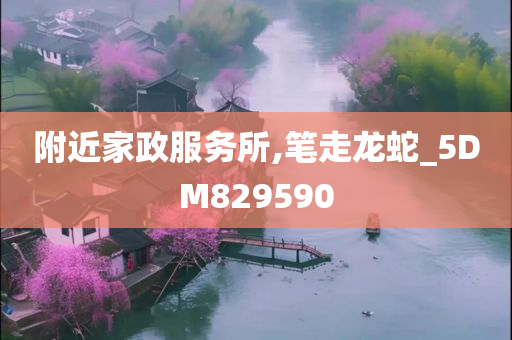 附近家政服务所,笔走龙蛇_5DM829590