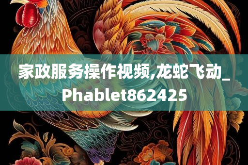 家政服务操作视频,龙蛇飞动_Phablet862425