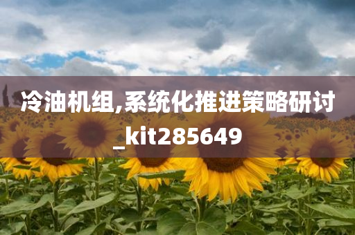 冷油机组,系统化推进策略研讨_kit285649