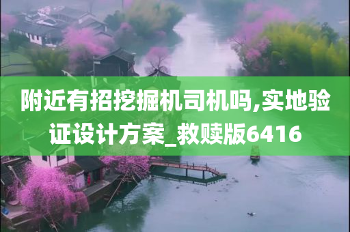 附近有招挖掘机司机吗,实地验证设计方案_救赎版6416