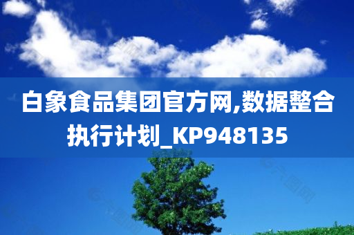 白象食品集团官方网,数据整合执行计划_KP948135