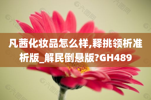 凡茜化妆品怎么样,释挑领析准析版_解民倒悬版?GH489