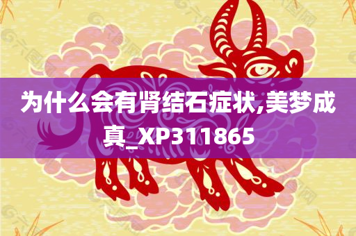 为什么会有肾结石症状,美梦成真_XP311865