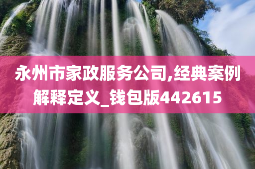 永州市家政服务公司,经典案例解释定义_钱包版442615