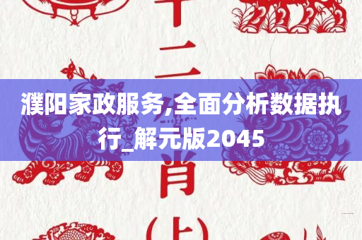 濮阳家政服务,全面分析数据执行_解元版2045