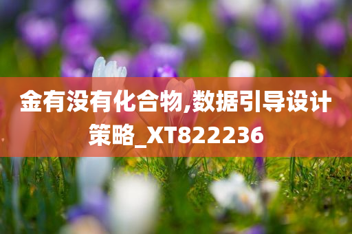 金有没有化合物,数据引导设计策略_XT822236