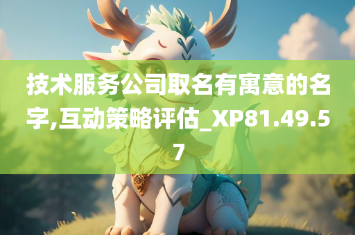 技术服务公司取名有寓意的名字,互动策略评估_XP81.49.57