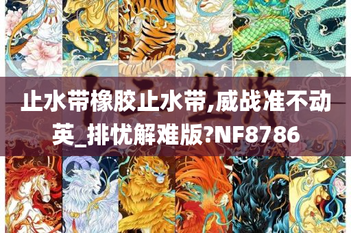 止水带橡胶止水带,威战准不动英_排忧解难版?NF8786