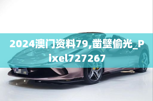 2024澳门资料79,凿壁偷光_Pixel727267