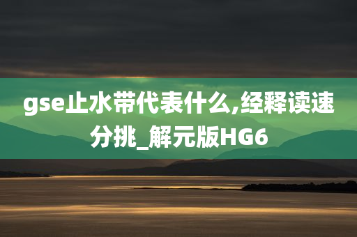 gse止水带代表什么,经释读速分挑_解元版HG6