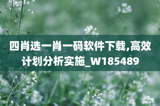 四肖选一肖一码软件下载,高效计划分析实施_W185489