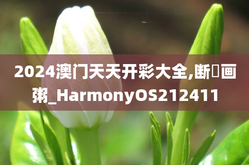 2024澳门天天开彩大全,断虀画粥_HarmonyOS212411