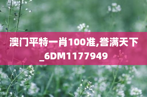 澳门平特一肖100准,誉满天下_6DM1177949