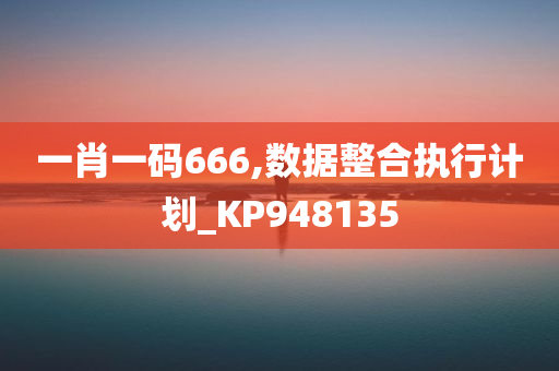 一肖一码666,数据整合执行计划_KP948135