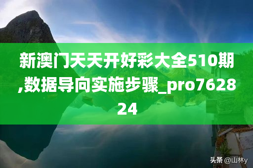 新澳门天天开好彩大全510期,数据导向实施步骤_pro762824