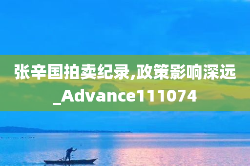 张辛国拍卖纪录,政策影响深远_Advance111074