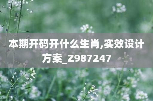 本期开码开什么生肖,实效设计方案_Z987247