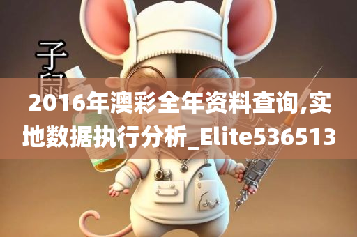 2016年澳彩全年资料查询,实地数据执行分析_Elite536513