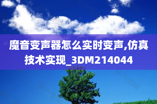 魔音变声器怎么实时变声,仿真技术实现_3DM214044