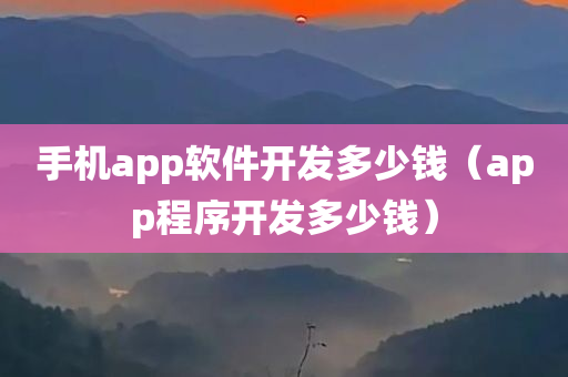 手机app软件开发多少钱（app程序开发多少钱）