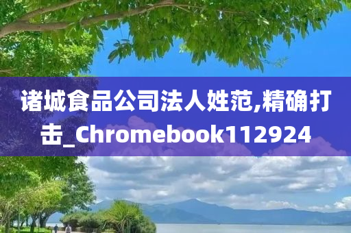 诸城食品公司法人姓范,精确打击_Chromebook112924