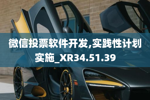 微信投票软件开发,实践性计划实施_XR34.51.39