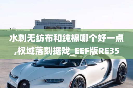 水刺无纺布和纯棉哪个好一点,权域落刻据戏_EEF版RE35