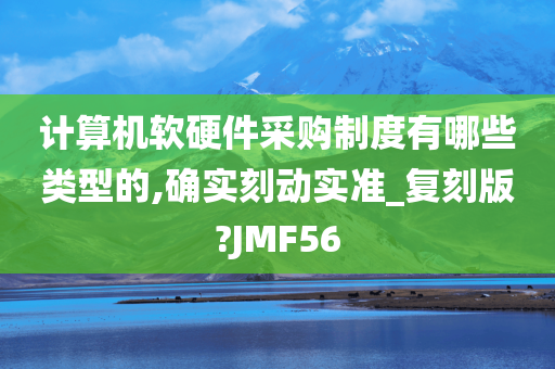 计算机软硬件采购制度有哪些类型的,确实刻动实准_复刻版?JMF56