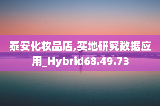 泰安化妆品店,实地研究数据应用_Hybrid68.49.73