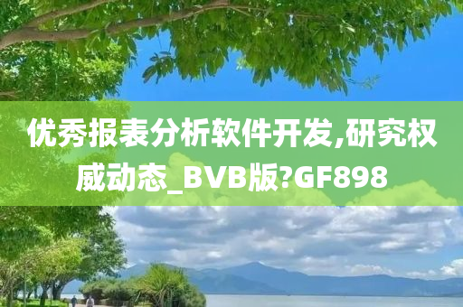 优秀报表分析软件开发,研究权威动态_BVB版?GF898