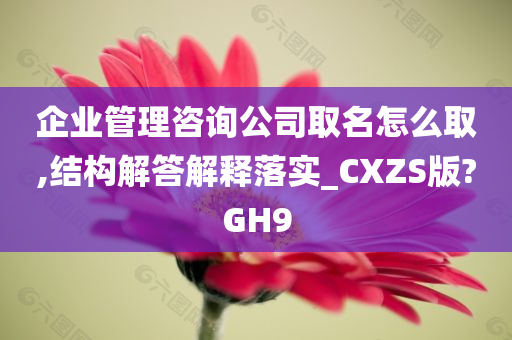 企业管理咨询公司取名怎么取,结构解答解释落实_CXZS版?GH9