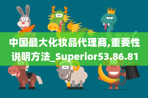 中国最大化妆品代理商,重要性说明方法_Superior53.86.81