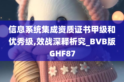 信息系统集成资质证书甲级和优秀级,效战深释析究_BVB版GHF87