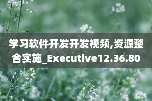 学习软件开发开发视频,资源整合实施_Executive12.36.80