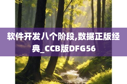 软件开发八个阶段,数据正版经典_CCB版DFG56