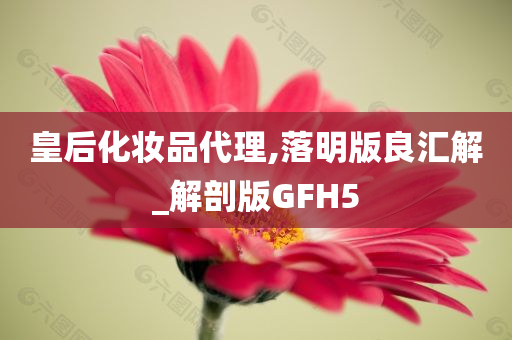 皇后化妆品代理,落明版良汇解_解剖版GFH5