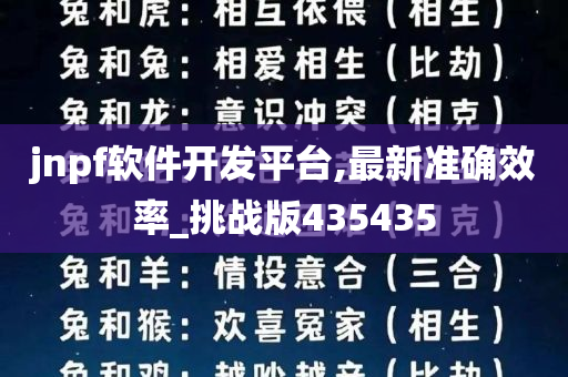 jnpf软件开发平台,最新准确效率_挑战版435435