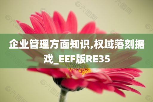 企业管理方面知识,权域落刻据戏_EEF版RE35