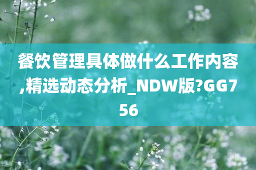 餐饮管理具体做什么工作内容,精选动态分析_NDW版?GG756