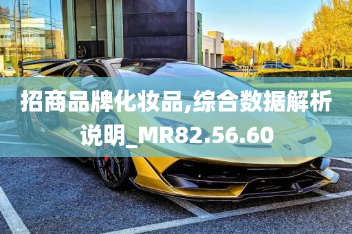 招商品牌化妆品,综合数据解析说明_MR82.56.60