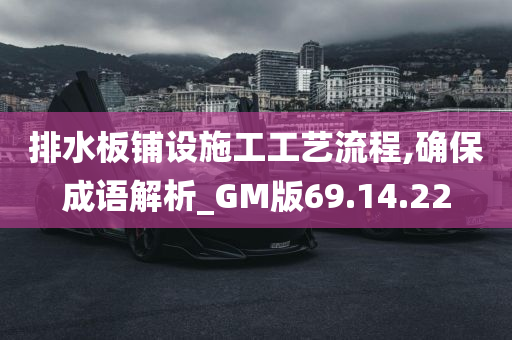 排水板铺设施工工艺流程,确保成语解析_GM版69.14.22