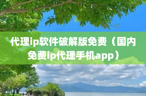 代理ip软件破解版免费（国内免费ip代理手机app）