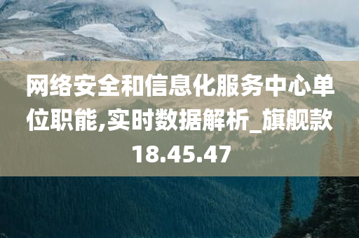 网络安全和信息化服务中心单位职能,实时数据解析_旗舰款18.45.47